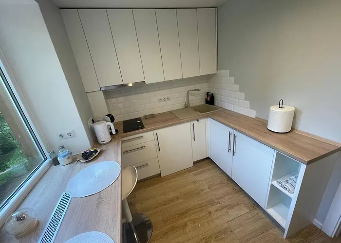 公寓 Modern 1br Haven Near Two Parks 里加