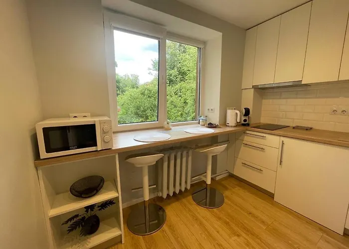 Modern 1br Haven Near Two Parks 公寓